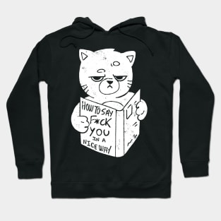 Nice Way to Say - Funny Grumpy Sarcasm Cat Gift Hoodie